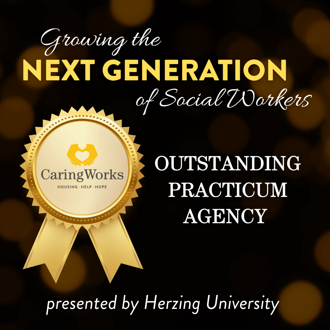 Outstanding Practicum Agency graphic